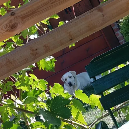 Vikendica Blagojevic Casa vacanze Čačak